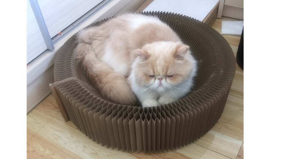 Accordion Cat Scratching Board 7