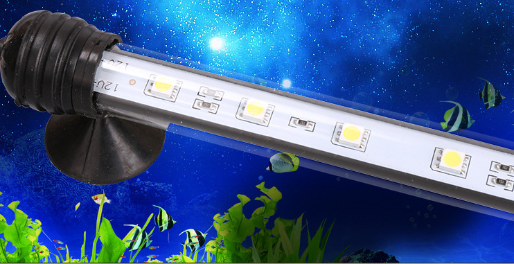 Aquarium Light 3