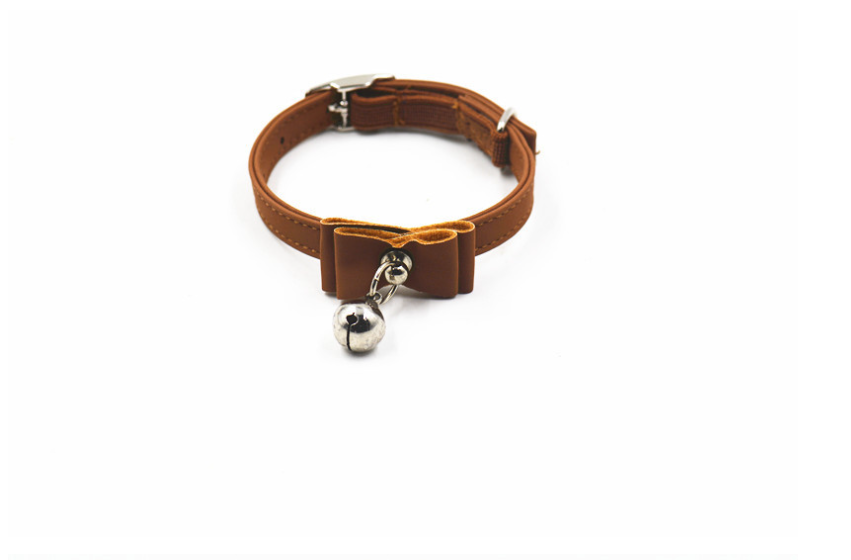 Color Variations of Pet Collar