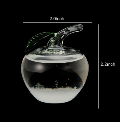 Elegant Weather Forecast Bottle