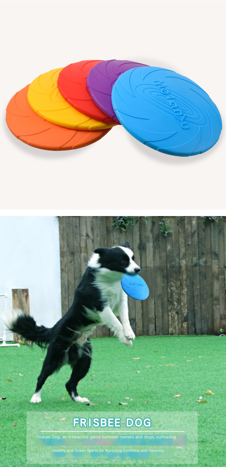 Play time with Meianju Pet Frisbee