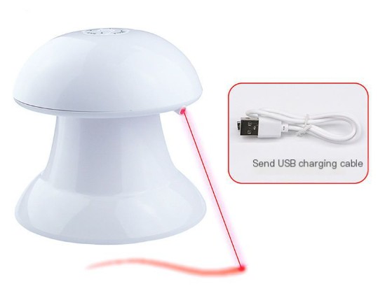 Pet Laser Toy in Action