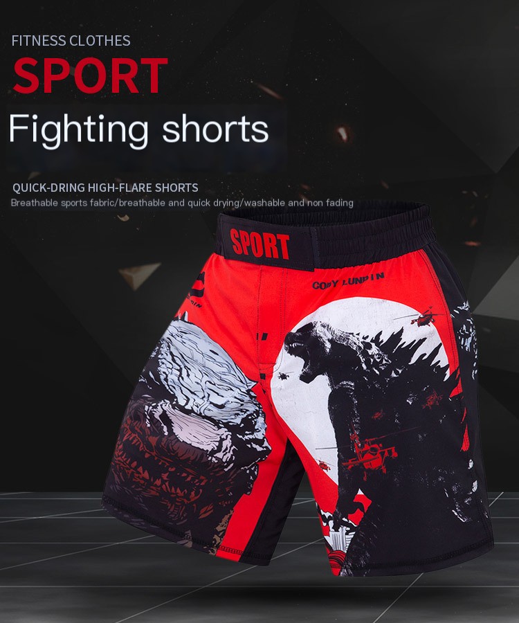 Sanda Fighting Shorts 1