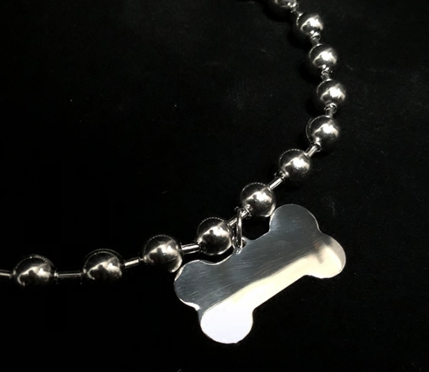Bone Necklace 4