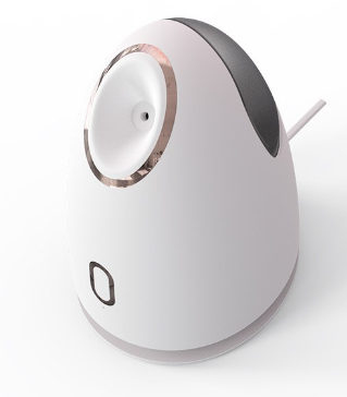 Face Steamer Image 4