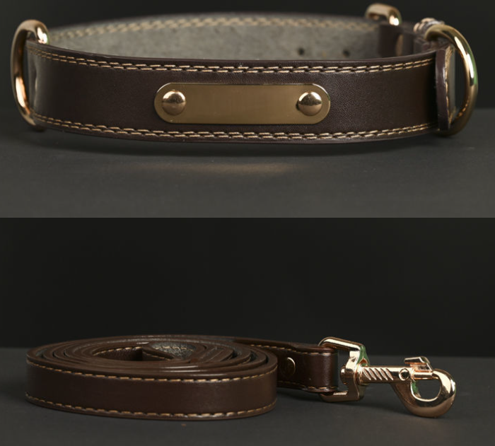 Dog Collar 3