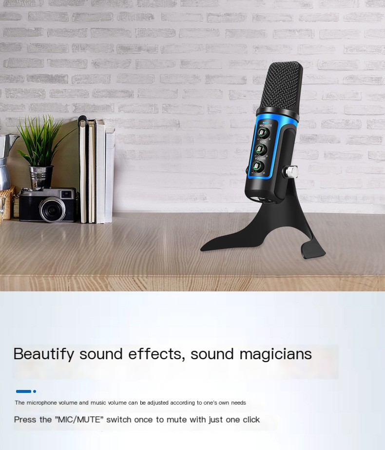 USB Microphone 6