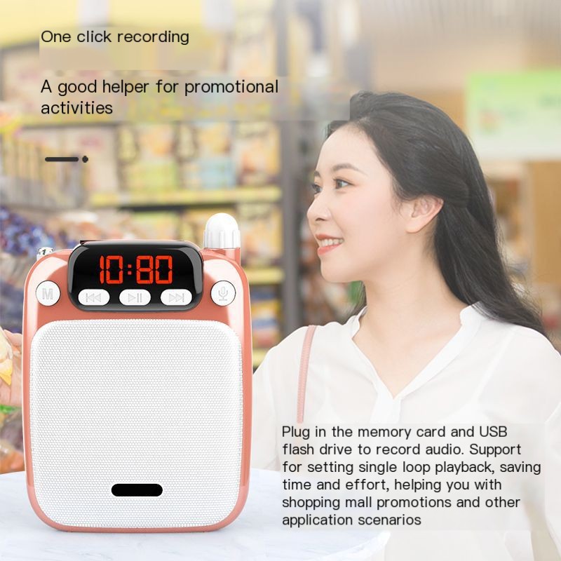 Bluetooth Portable Amplifier 17