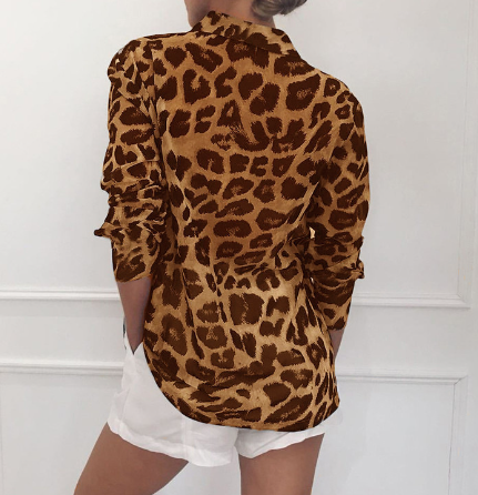 Chiffon Blouse Image 4