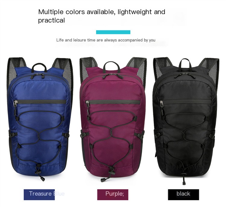 Folding Backpack