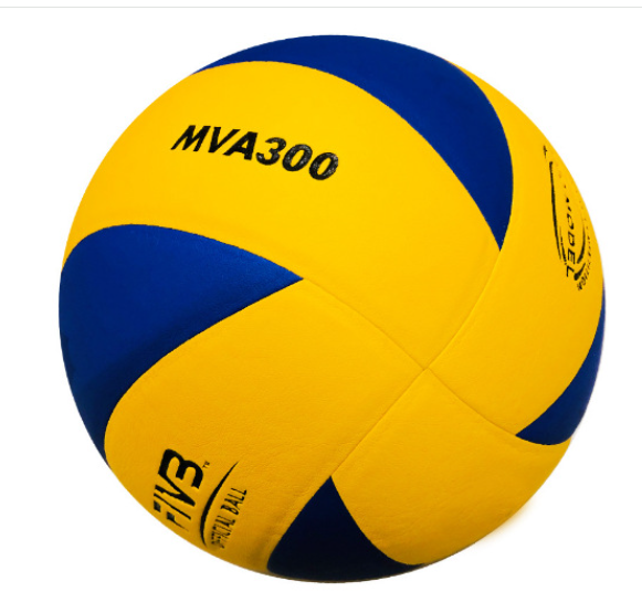 Volleyball Image 10