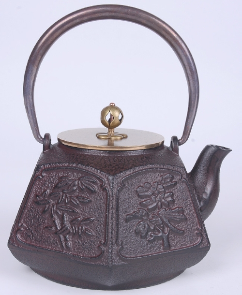 Japanese-style cast iron teapot