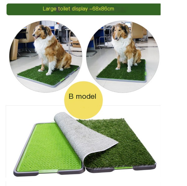 Large dog toilet