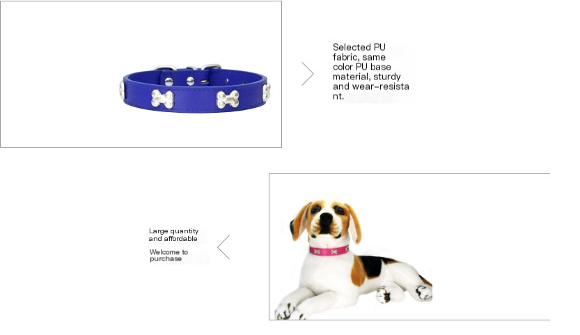 Fashionable Dog Collar