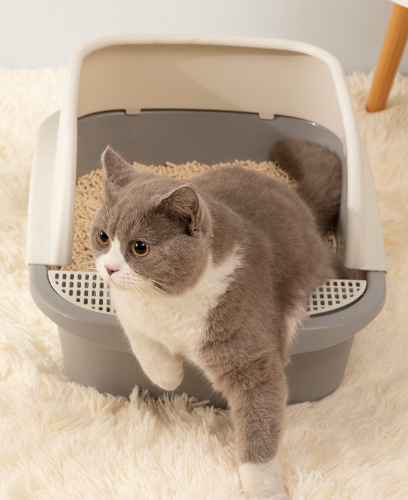 Cat litter box blue