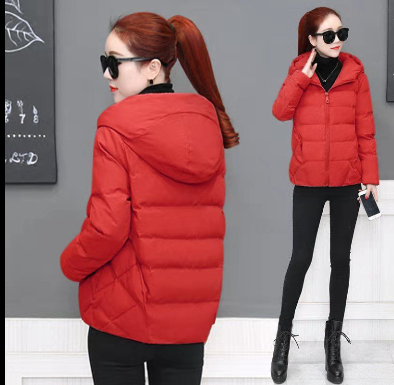 Glacier Women's Fleece Lined Winter Parka Jacket - Pantagonia