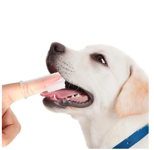 Easy Oral Cleaning Tools