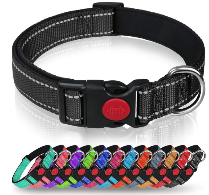 Dog Collar
