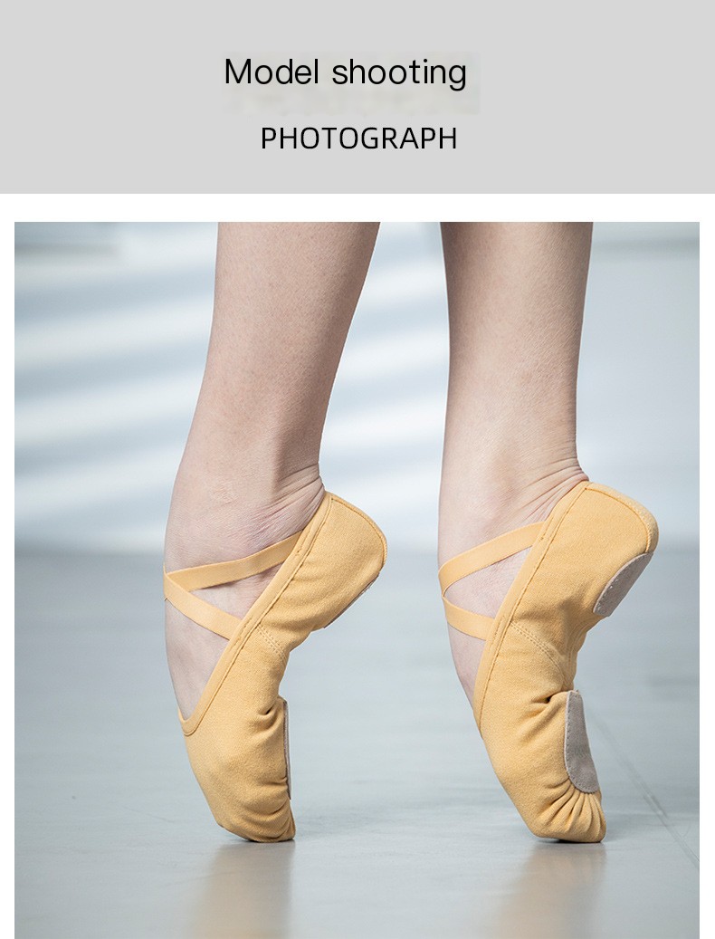 Ballet Shoes Image