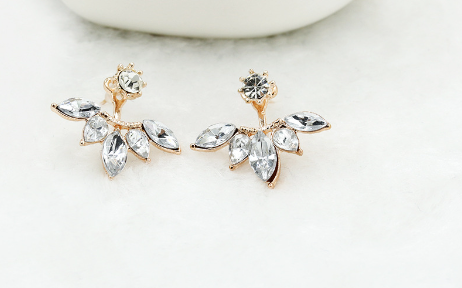 Earrings Image 6