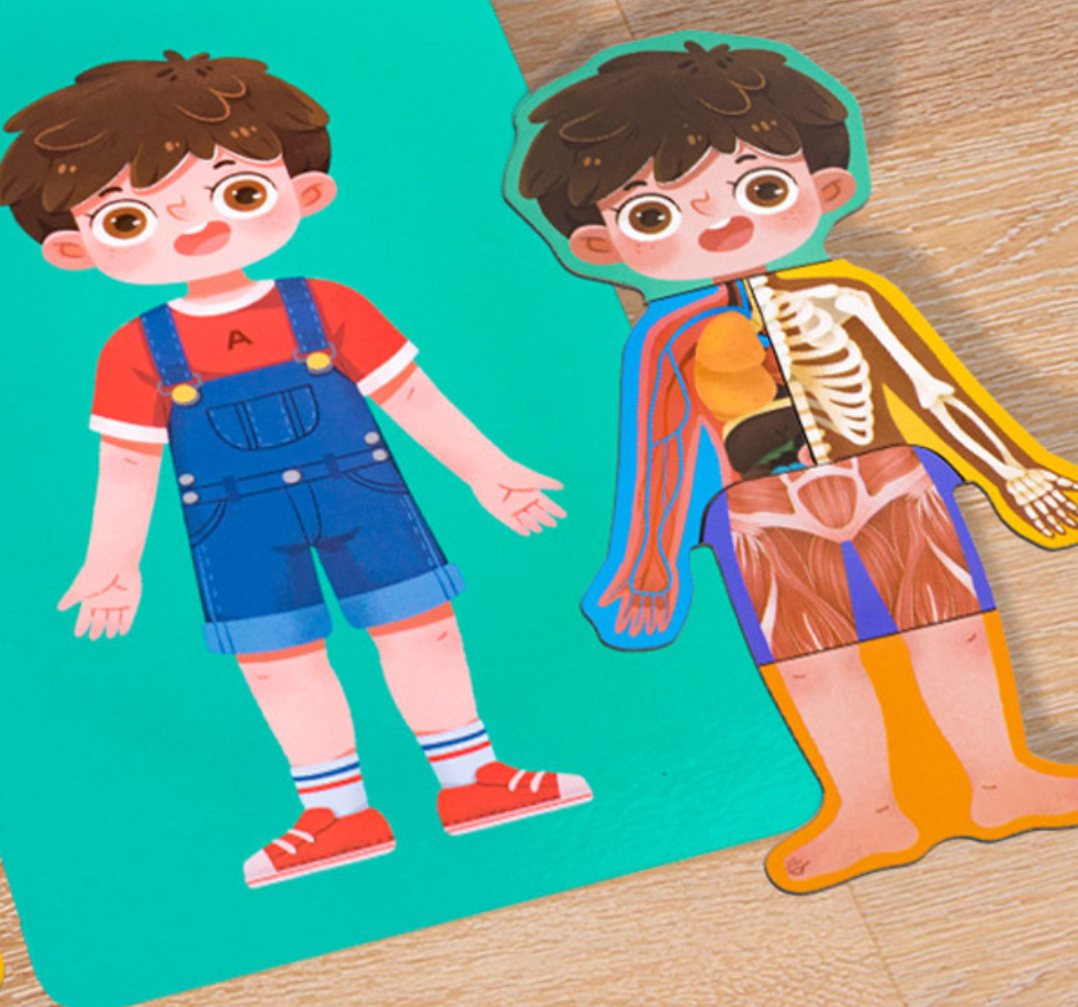 Human Cognition Puzzle Image 4