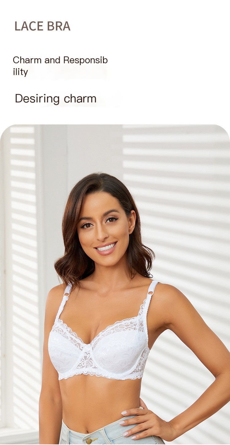 Lace Bra Image 1