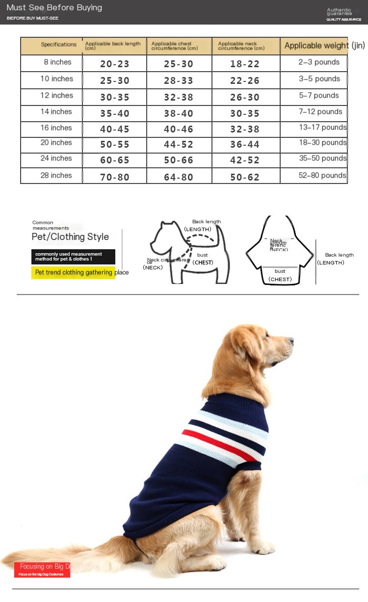 Golden Dog Clothes 1