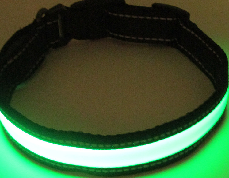 Dog Collar Image 3