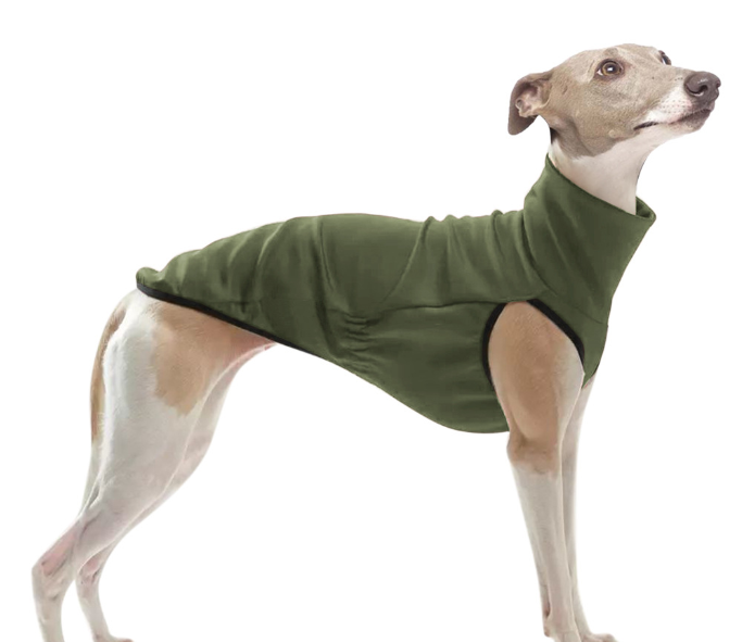 Pet Galguinho Outfit Wine Red