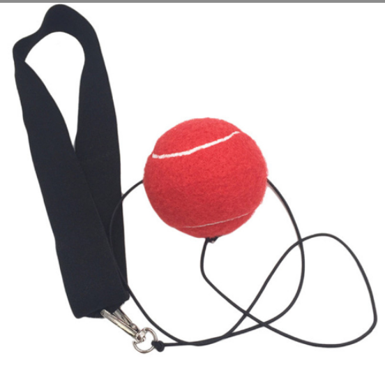 Boxing Reflex Ball Image