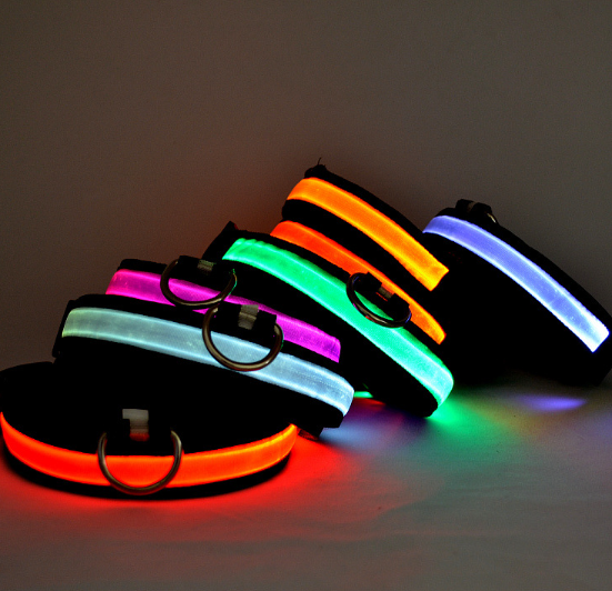 LED Dog Collar 2