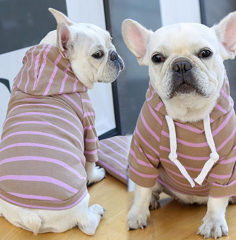 Striped Dog Hoodie — product detail 3