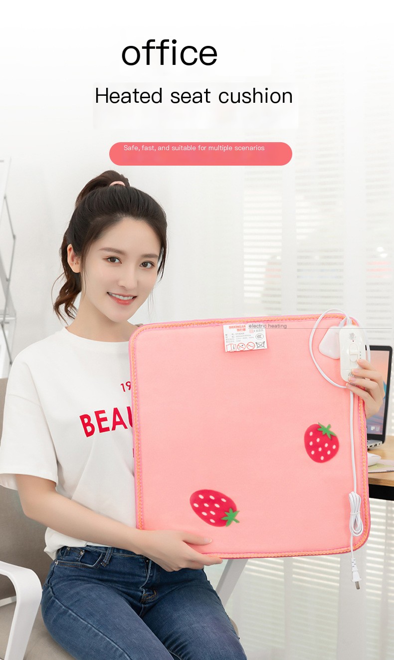 Electric Heating Cushion