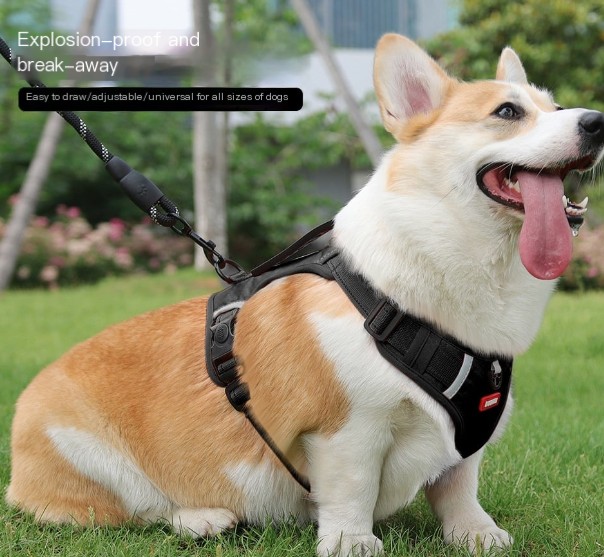 Pet Rope Vest 1