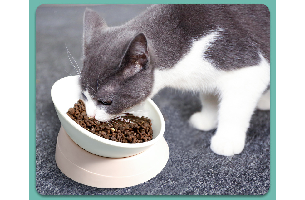 Bowl in Use