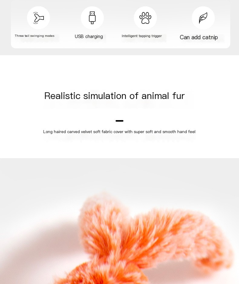 Fun for Cats