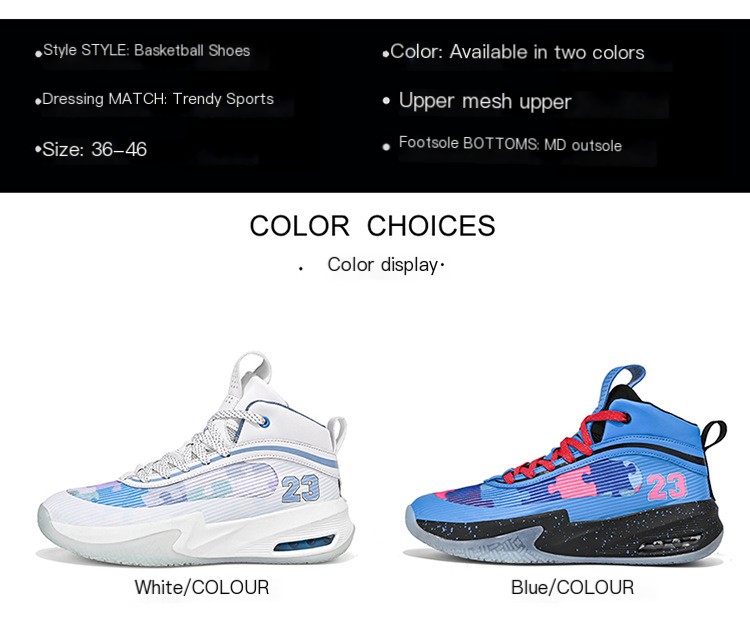 Basketball Shoe 2