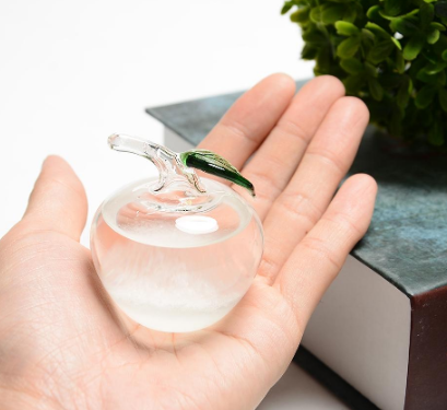 Mini Apple Weather Bottle