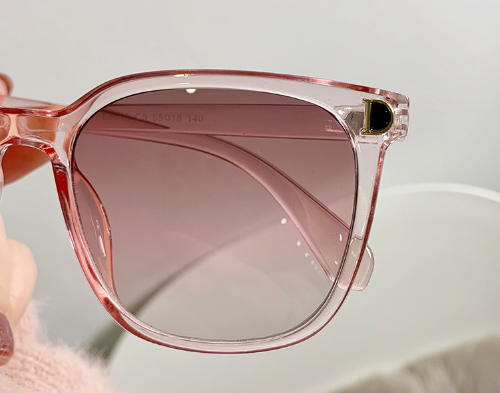 Sunglasses in Leopard Print