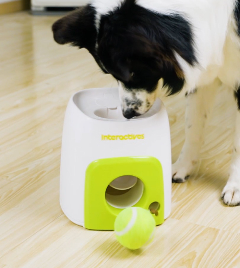 Dog Treats Dispensed from Machine