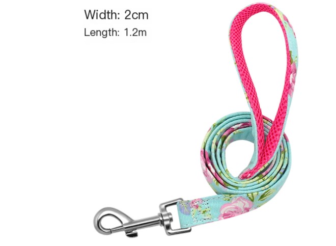 Different Colors of Collar and Leash