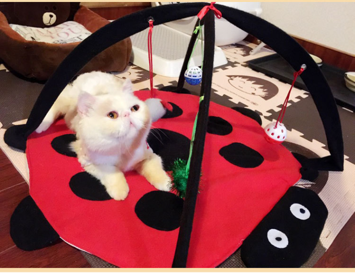 Cat Tent