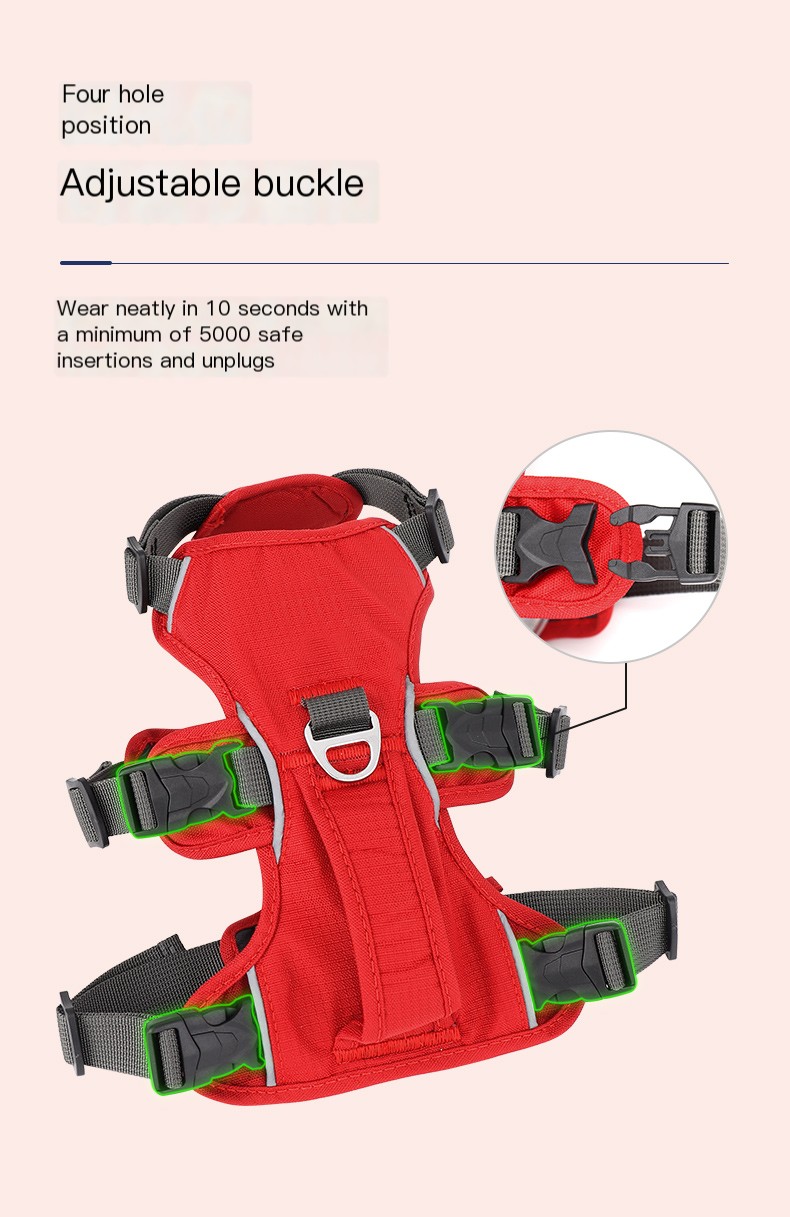 Adjustable Harness