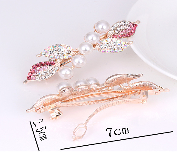 Hair Clip Image 1