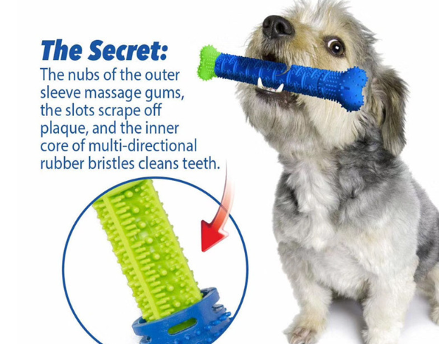 Pet Tooth Cleaning Stick Image 1