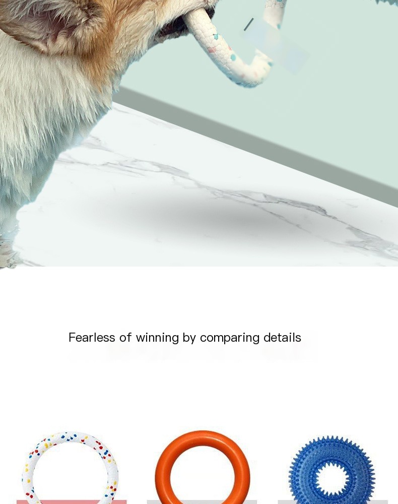 Fun for All Dogs