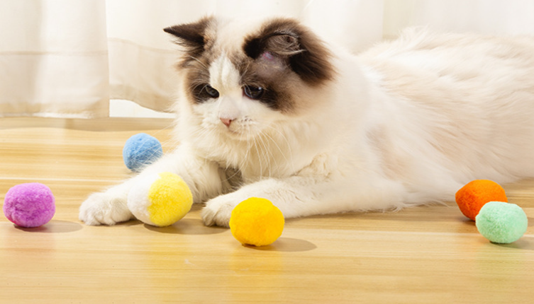 Hachi Cat Toy Ball 1