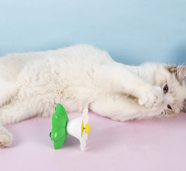 Electric Butterfly Flower Cat Teaser Image 5