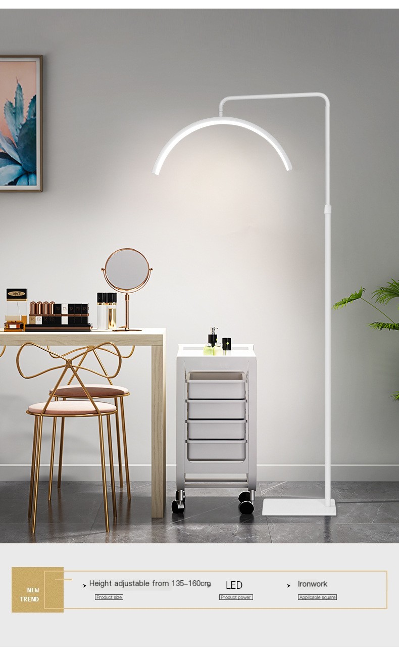 LED Beauty Floor Lamp