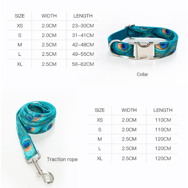 Custom Lettering Dog Collar